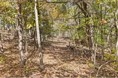 3740 Woodlane Road, Gainesville, GA 30506 - Photo 63