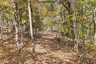 3740 Woodlane Rd, Gainesville, GA 30506 - Photo 63