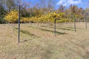 3740 Woodlane Rd, Gainesville, GA 30506 - Photo 49