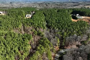 0 Fox Paw Leaf Ln, Ellijay, GA 30536 - Photo 5