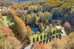 449 Chestatee Dr, Cleveland, GA 30528 - Photo 69