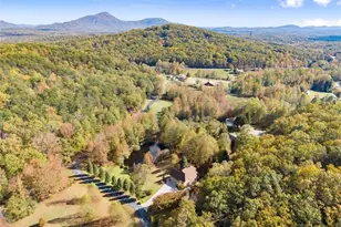 449 Chestatee Dr, Cleveland, GA 30528 - Photo 65