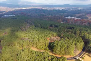 0 Fox Paw Leaf Ln, Ellijay, GA 30536 - Photo 11