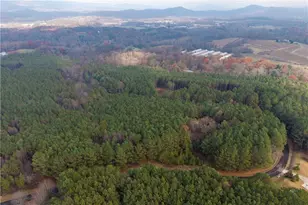 0 Fox Paw Leaf Ln, Ellijay, GA 30536 - Photo 13