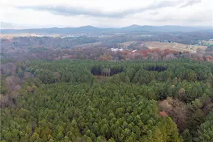 0 Fox Paw Leaf Ln, Ellijay, GA 30536 - Photo 1