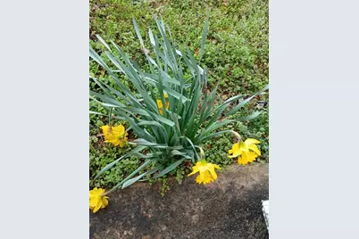 242 Lake Jodeco Road #242, Jonesboro, GA 30236 - Photo 9