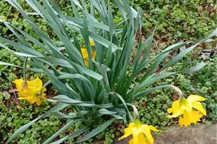 242 Lake Jodeco Rd, Jonesboro, GA 30236 - Photo 9