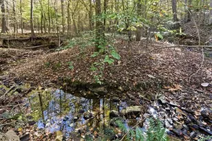 612 Homestead Dr, Dallas, GA 30157 - Photo 51