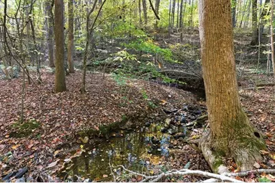 612 Homestead Drive, Dallas, GA 30157 - Photo 49