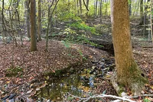 612 Homestead Dr, Dallas, GA 30157 - Photo 49