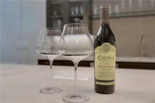 448 Golden Bear Pass, Dahlonega, GA 30533 - Photo 51