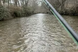 134 Elkmont Dr, Dahlonega, GA 30533 - Photo 43