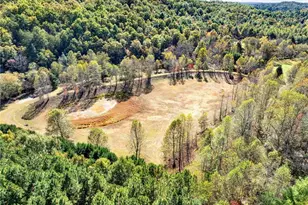 134 Elkmont Dr, Dahlonega, GA 30533 - Photo 3