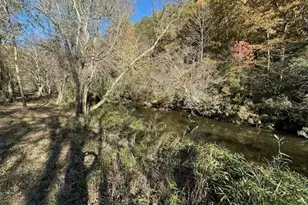 134 Elkmont Dr, Dahlonega, GA 30533 - Photo 45