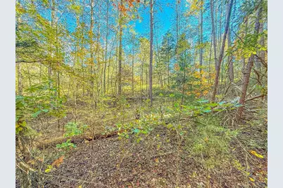 0 Eagle Claw Court, Martin, GA 30557 - Photo 5