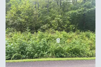 Lot 17 Staurolite Mountain Drive, Blue Ridge, GA 30513 - Photo 1