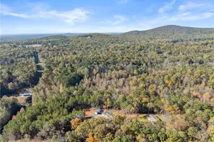 1335 Amicalola Ch Rd, Dawsonville, GA 30534 - Photo 43