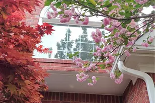 3620 Highpoint Rd, Cumming, GA 30041 - Photo 39