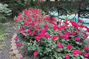 1885 Spring Rose Glen, Lawrenceville, GA 30043 - Photo 41