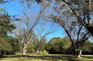 320 Old Perry Rd, Marshallville, GA 31057 - Photo 17