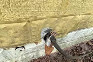 320 Old Perry Rd, Marshallville, GA 31057 - Photo 31