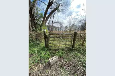 320 Old Perry Road, Marshallville, GA 31057 - Photo 15