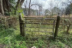 320 Old Perry Rd, Marshallville, GA 31057 - Photo 15