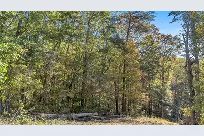 0 Highway 136 W, Jasper, GA 30143 - Photo 3