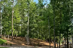 131 Quiet Cove Way, Monticello, GA 31064 - Photo 87