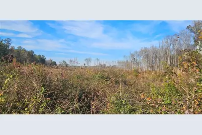 0 Old Eighty Five Road, Sandersville, GA 31083 - Photo 9