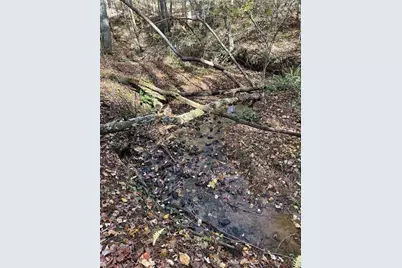 39 Planters Creek Drive, Baldwin, GA 30511 - Photo 5