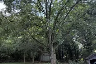 735 Bowersville Rd, Carnesville, GA 30521 - Photo 5