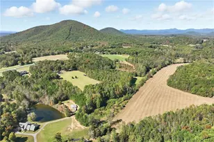 6752 Shoal Creek Rd, Clermont, GA 30527 - Photo 41