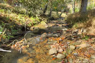 89 High Meadows Ct, Morganton, GA 30560 - Photo 49