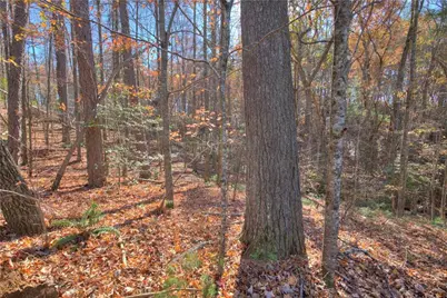 807 Choctaw Pass, Big Canoe, GA 30143 - Photo 3
