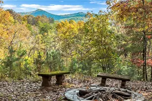 1164 Dividing Ridge Rd, Mineral Bluff, GA 30559 - Photo 27