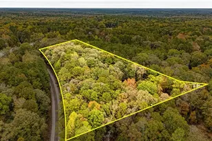 121 Hardy Rd, Senoia, GA 30276 - Photo 31