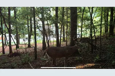 1451 Highway 140 NW, Adairsville, GA 30103 - Photo 41