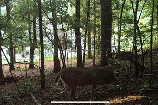 1451 Hwy 140 NW, Adairsville, GA 30103 - Photo 41