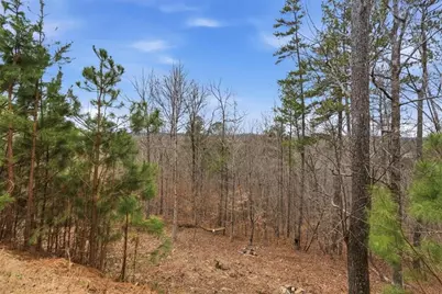 303 Eagle Rock Drive, Acworth, GA 30101 - Photo 59