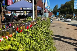 259 Dach Bruecke Gasse, Helen, GA 30545 - Photo 71