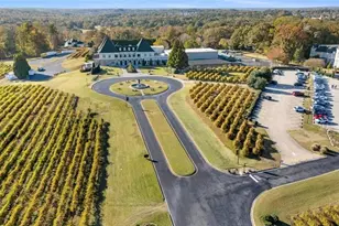 2711 Wildflower Way, Hoschton, GA 30548 - Photo 71