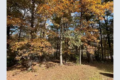 159 May Lane, Zebulon, GA 30295 - Photo 47