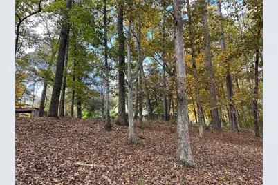 159 May Lane, Zebulon, GA 30295 - Photo 111