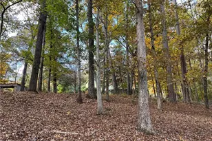 159 May Ln, Zebulon, GA 30295 - Photo 111