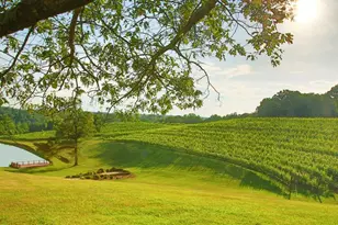 58 Rustin Ridge, Dahlonega, GA 30533 - Photo 43