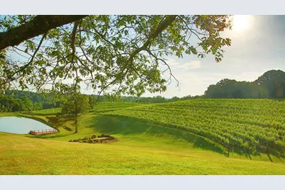 42 Rustin Ridge #285, Dahlonega, GA 30533 - Photo 43