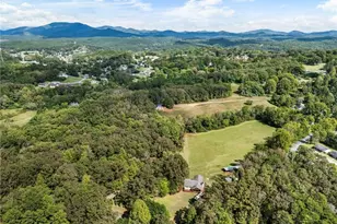 120 Brookhaven Trl, Blue Ridge, GA 30513 - Photo 85