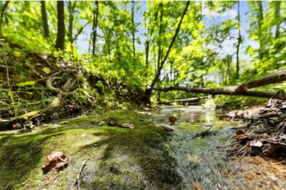 120 Brookhaven Trail, Blue Ridge, GA 30513 - Photo 89