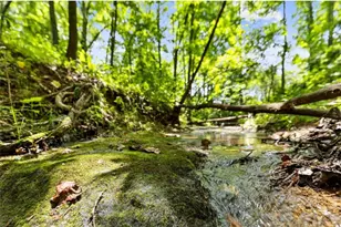 120 Brookhaven Trl, Blue Ridge, GA 30513 - Photo 89